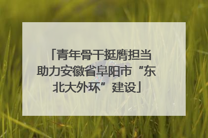 青年骨干挺膺担当 助力安徽省阜阳市“东北大外环”建设