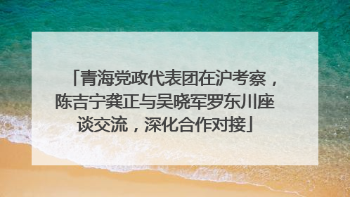 青海党政代表团在沪考察,陈吉宁龚正与吴晓军罗东川座谈交流,深化合作对接