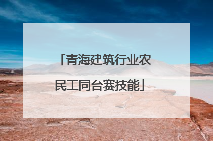 青海建筑行业农民工同台赛技能