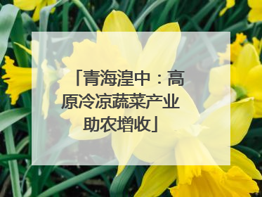 青海湟中：高原冷凉蔬菜产业助农增收
