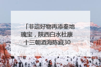 非遗好物再添秦地瑰宝，陕西白水杜康十三朝酒海陈藏30年别具一格