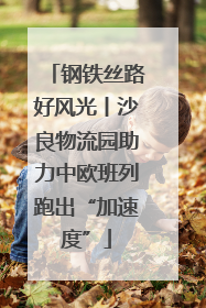 钢铁丝路好风光丨沙良物流园助力中欧班列跑出“加速度”