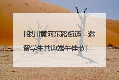 银川黄河东路街道：邀留学生共迎端午佳节