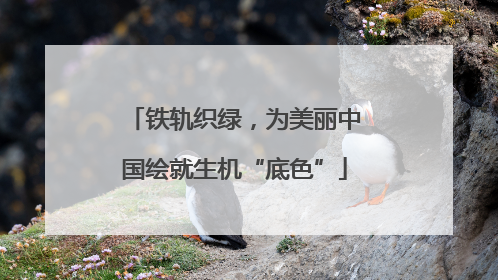 铁轨织绿，为美丽中国绘就生机“底色”