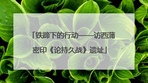 铁蹄下的行动——访西蒲密印《论持久战》遗址