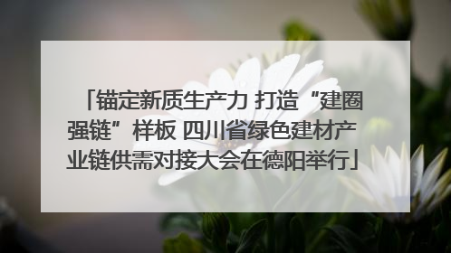 锚定新质生产力 打造“建圈强链”样板 四川省绿色建材产业链供需对接大会在德阳举行
