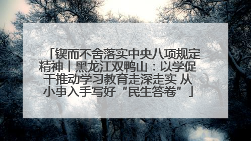 锲而不舍落实中央八项规定精神丨黑龙江双鸭山：以学促干推动学习教育走深走实 从小事入手写好“民生答卷”