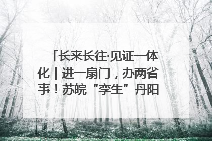 长来长往·见证一体化｜进一扇门，办两省事！苏皖“孪生”丹阳如何做到的？