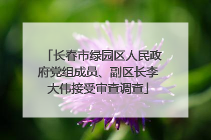 长春市绿园区人民政府党组成员、副区长李大伟接受审查调查