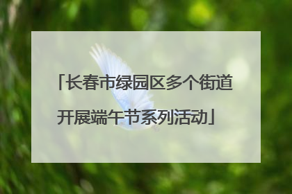长春市绿园区多个街道开展端午节系列活动