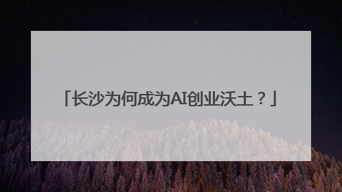 长沙为何成为AI创业沃土？