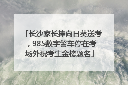 长沙家长捧向日葵送考，985数字警车停在考场外祝考生金榜题名
