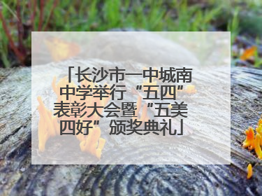 长沙市一中城南中学举行“五四”表彰大会暨“五美四好”颁奖典礼