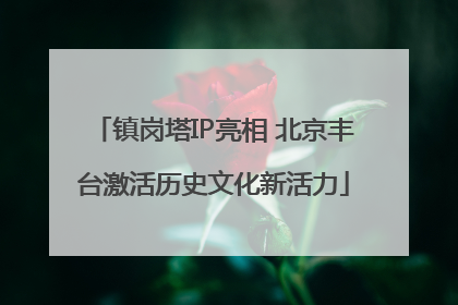 镇岗塔IP亮相 北京丰台激活历史文化新活力