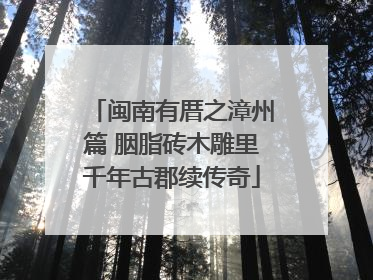 闽南有厝之漳州篇 胭脂砖木雕里千年古郡续传奇