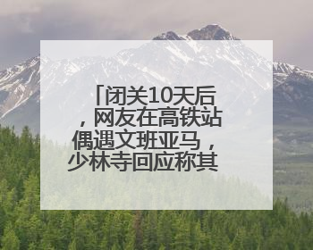 闭关10天后，网友在高铁站偶遇文班亚马，少林寺回应称其已离开寺院