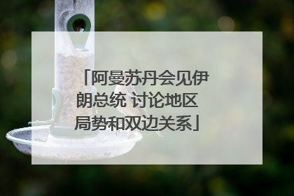 阿曼苏丹会见伊朗总统 讨论地区局势和双边关系
