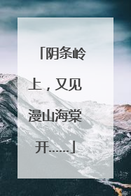 阴条岭上，又见漫山海棠开……