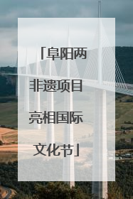 阜阳两非遗项目亮相国际文化节