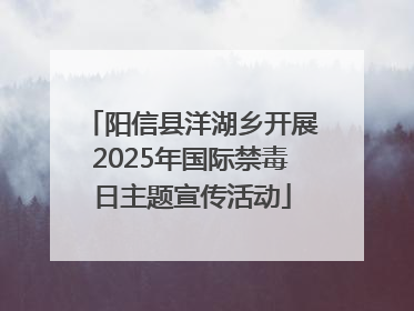 阳信县洋湖乡开展2025年国际禁毒日主题宣传活动