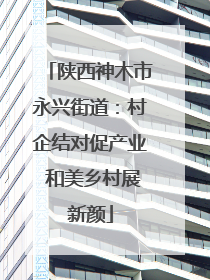 陕西神木市永兴街道：村企结对促产业 和美乡村展新颜