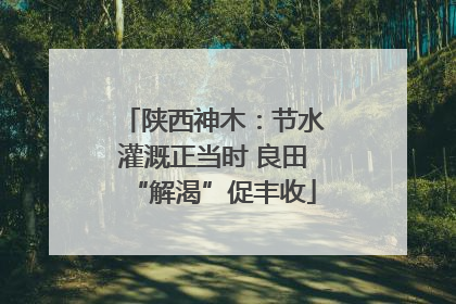 陕西神木：节水灌溉正当时 良田“解渴”促丰收