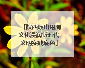 陕西岐山用周文化浸润新时代文明实践底色