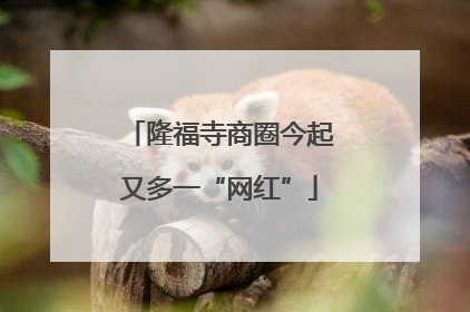 隆福寺商圈今起又多一“网红”