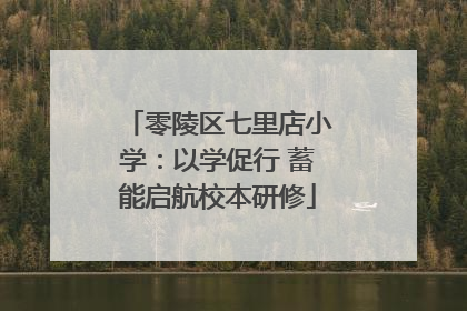 零陵区七里店小学：以学促行 蓄能启航校本研修