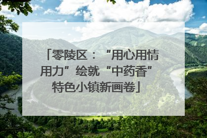 零陵区：“用心用情用力”绘就“中药香”特色小镇新画卷