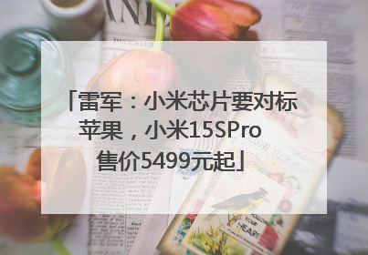 雷军：小米芯片要对标苹果，小米15SPro售价5499元起