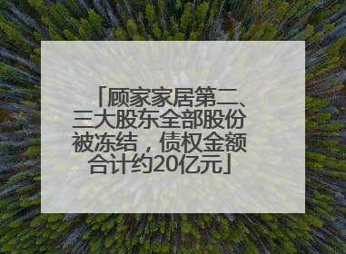 顾家家居第二、三大股东全部股份被冻结，债权金额合计约20亿元