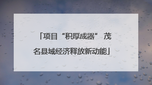 项目“积厚成器” 茂名县域经济释放新动能