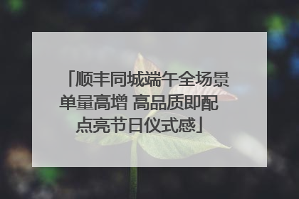 顺丰同城端午全场景单量高增 高品质即配点亮节日仪式感