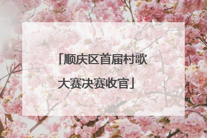顺庆区首届村歌大赛决赛收官