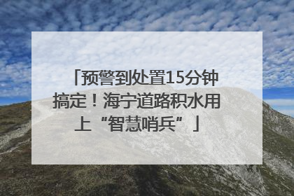 预警到处置15分钟搞定！海宁道路积水用上“智慧哨兵”