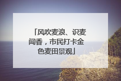 风吹麦浪、识麦闻香，市民打卡金色麦田景观