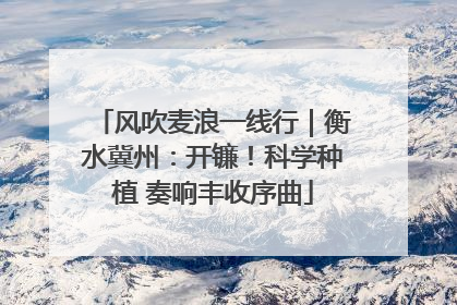 风吹麦浪一线行｜衡水冀州：开镰！科学种植 奏响丰收序曲