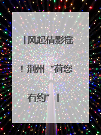 风起倩影摇！荆州“荷您有约”