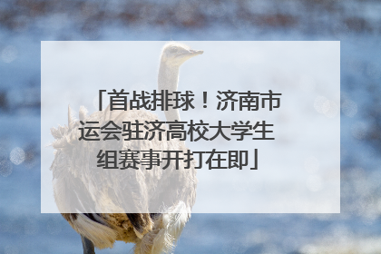 首战排球！济南市运会驻济高校大学生组赛事开打在即