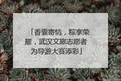 香囊寄情，粽享荣耀，武汉文旅志愿者为导游大赛添彩