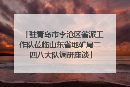 驻青岛市李沧区省派工作队莅临山东省地矿局二四八大队调研座谈