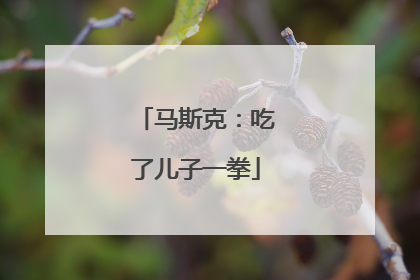 马斯克：吃了儿子一拳