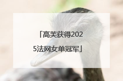 高芙获得2025法网女单冠军