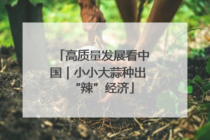 高质量发展看中国｜小小大蒜种出“辣”经济