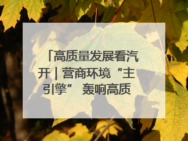 高质量发展看汽开｜营商环境“主引擎” 轰响高质量发展新赛道