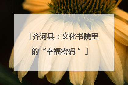齐河县：文化书院里的“幸福密码 ”