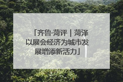 齐鲁·菏评｜菏泽以展会经济为城市发展增添新活力