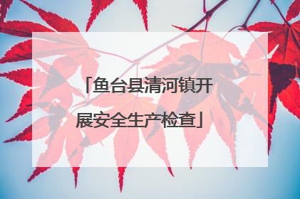鱼台县清河镇开展安全生产检查