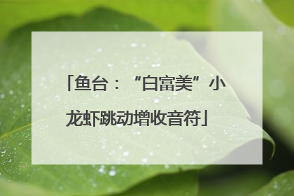鱼台：“白富美”小龙虾跳动增收音符